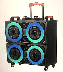 boxă portabilă NDR-8888.