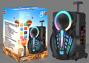 boxă portabilă GZ - P08.
